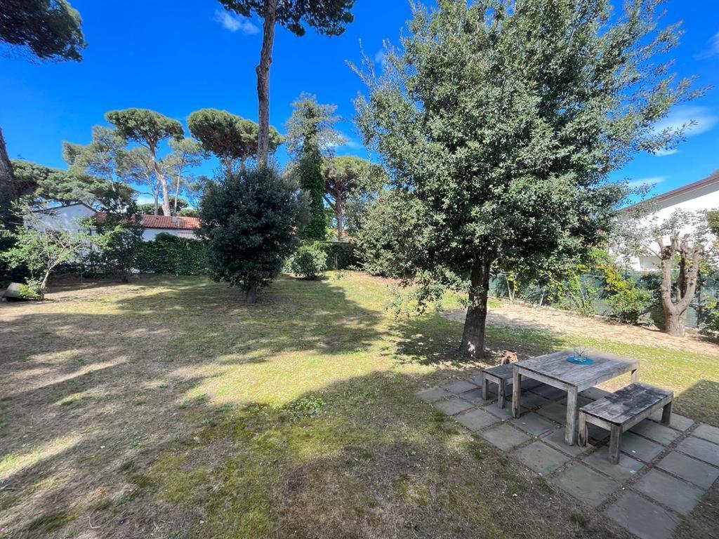 Pineta Apartament 蒂勒尼亚 外观 照片