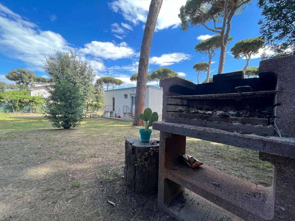 Pineta Apartament 蒂勒尼亚 外观 照片