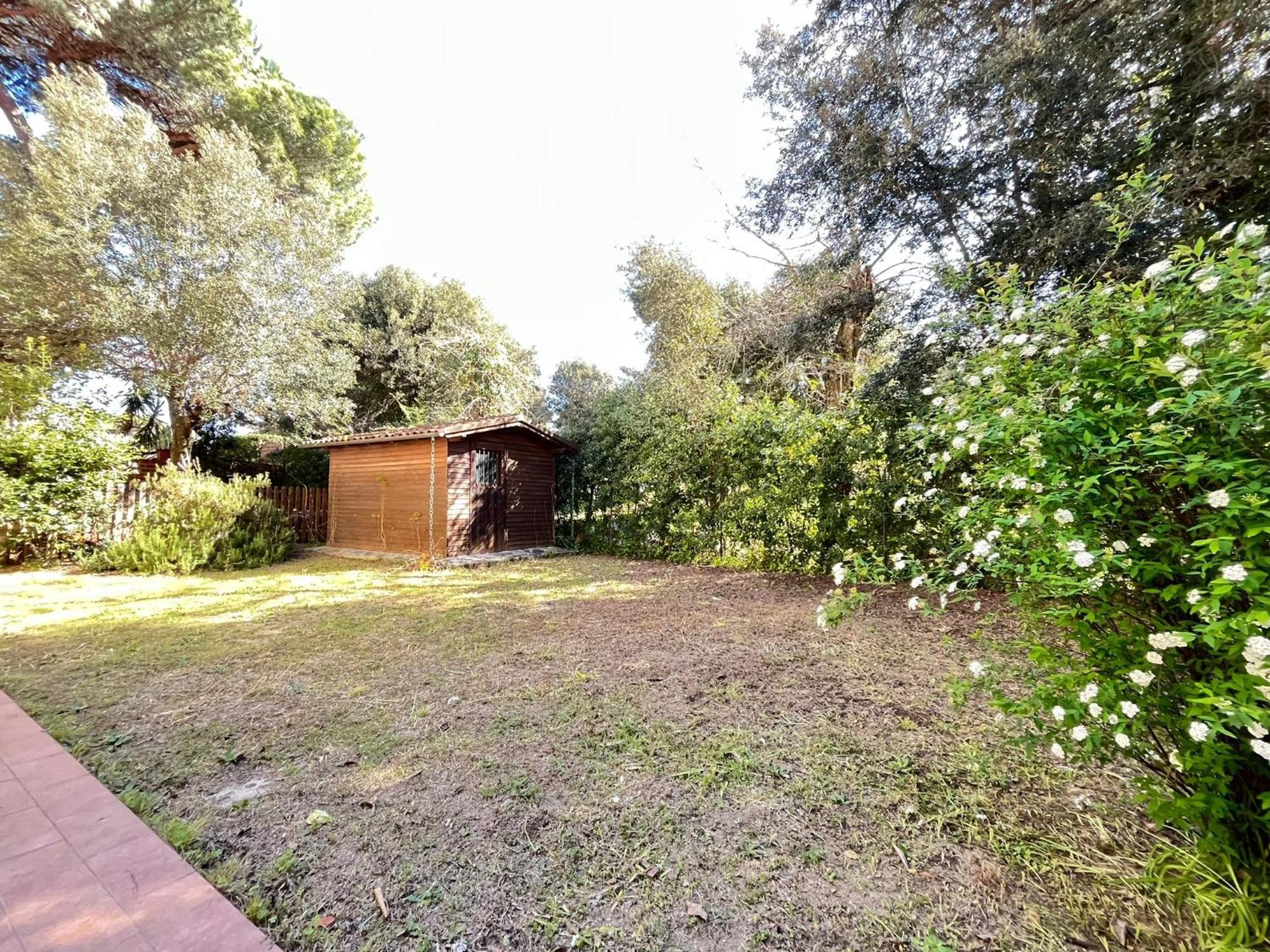 Pineta Apartament 蒂勒尼亚 客房 照片